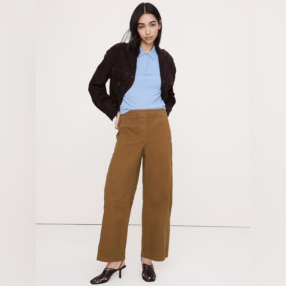 Banana Republic Wide-Leg Pants in Brown